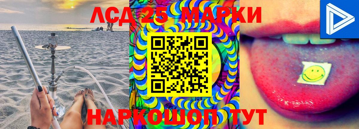 Альфа ПВП Зима
