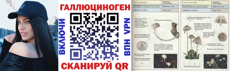 продажа наркотиков  Зима  Галлюциногенные грибы GOLDEN TEACHER 