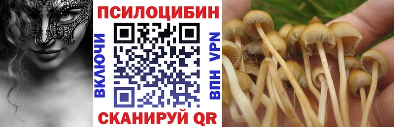Галлюциногенные грибы Magic Shrooms Зима