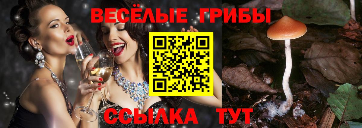 Псилоцибиновые грибы мухоморы Зима